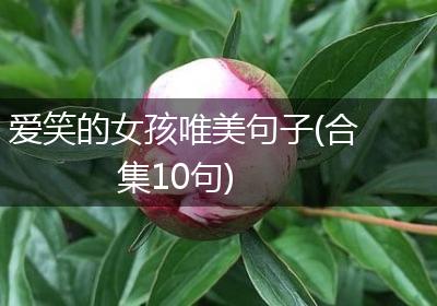 爱笑的女孩唯美句子(合集10句)