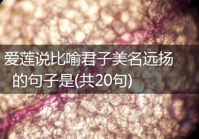 爱莲说比喻君子美名远扬的句子是(共20句)