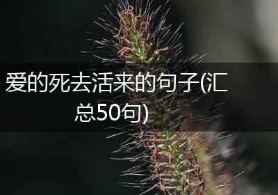 爱的死去活来的句子(汇总50句)