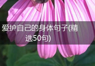 爱护自己的身体句子(精选50句)