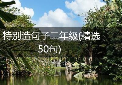 特别造句子二年级(精选50句)