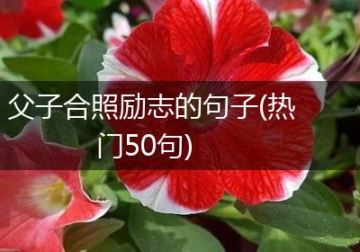 父子合照励志的句子(热门50句)