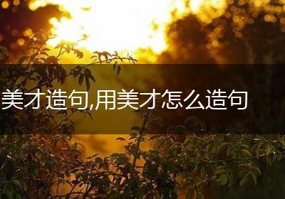 美才造句,用美才怎么造句