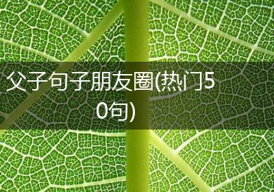 父子句子朋友圈(热门50句)