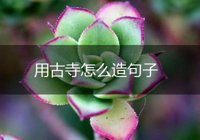 用古寺怎么造句子