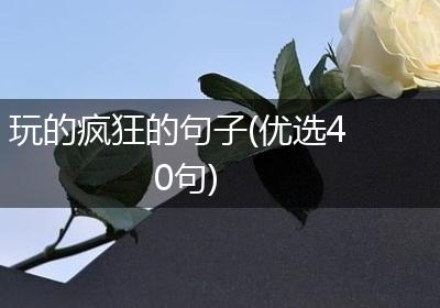 玩的疯狂的句子(优选40句)