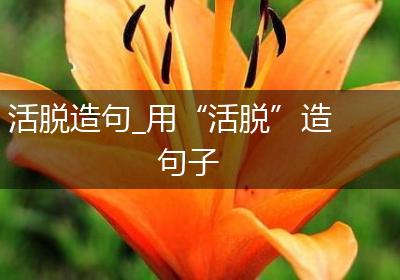 活脱造句_用“活脱”造句子