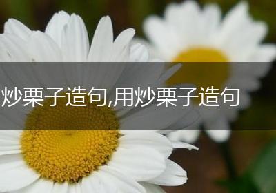 炒栗子造句,用炒栗子造句