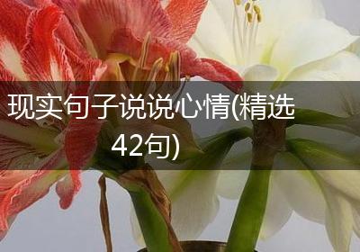 现实句子说说心情(精选42句)