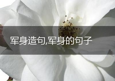 军身造句,军身的句子