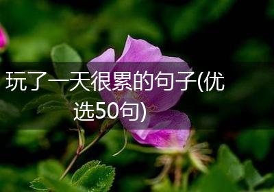 玩了一天很累的句子(优选50句)