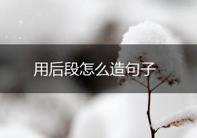用后段怎么造句子