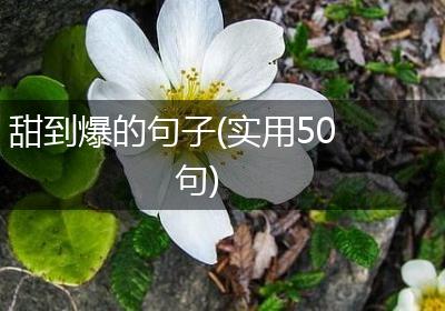 甜到爆的句子(实用50句)