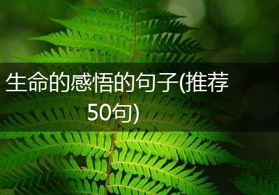 生命的感悟的句子(推荐50句)