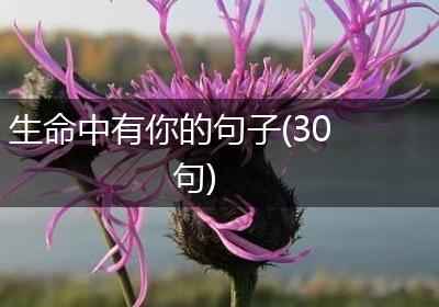 生命中有你的句子(30句)