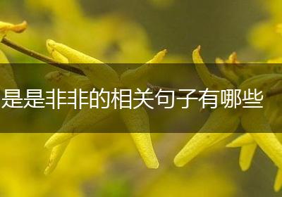 是是非非的相关句子有哪些