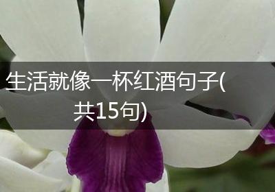 生活就像一杯红酒句子(共15句)
