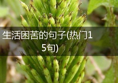 生活困苦的句子(热门15句)