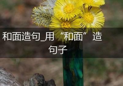 和面造句_用“和面”造句子