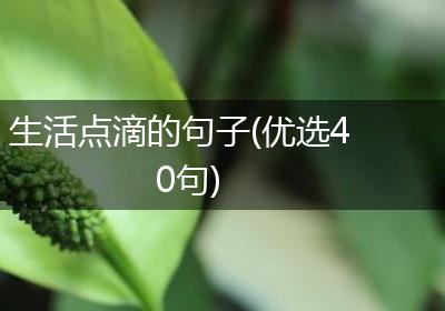 生活点滴的句子(优选40句)
