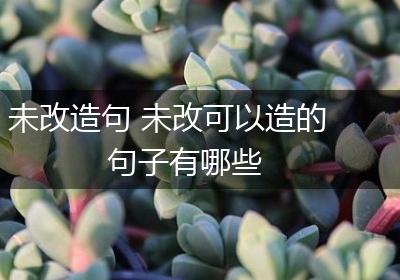 未改造句 未改可以造的句子有哪些