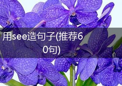 用see造句子(推荐60句)