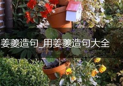 姜夔造句_用姜夔造句大全