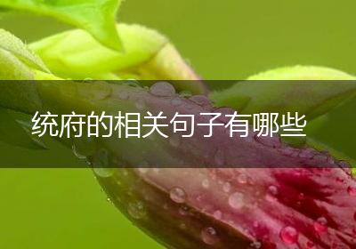 统府的相关句子有哪些
