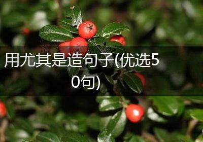 用尤其是造句子(优选50句)