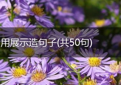 用展示造句子(共50句)