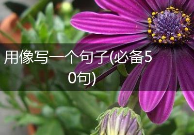 用像写一个句子(必备50句)