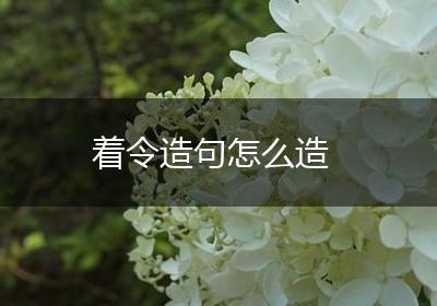 着令造句怎么造