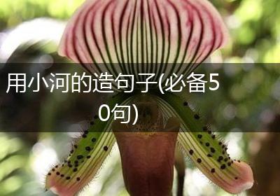 用小河的造句子(必备50句)