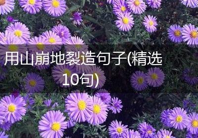 用山崩地裂造句子(精选10句)