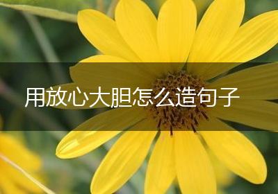 用放心大胆怎么造句子