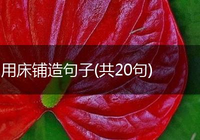 用床铺造句子(共20句)