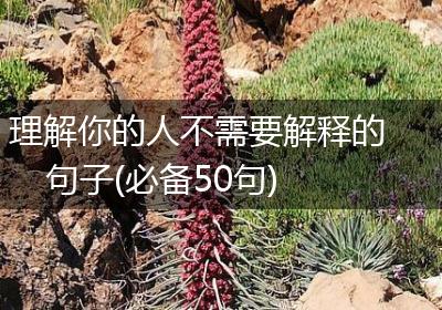 理解你的人不需要解释的句子(必备50句)
