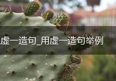 虚一造句_用虚一造句举例