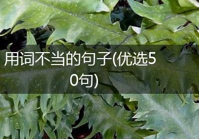 用词不当的句子(优选50句)