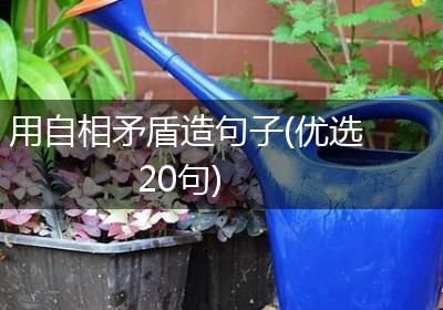 用自相矛盾造句子(优选20句)