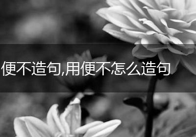 便不造句,用便不怎么造句