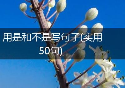 用是和不是写句子(实用50句)
