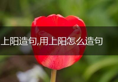 上阳造句,用上阳怎么造句