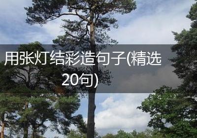 用张灯结彩造句子(精选20句)