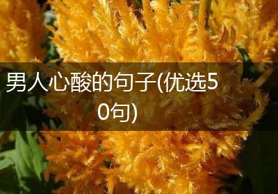 男人心酸的句子(优选50句)
