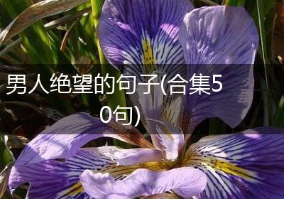 男人绝望的句子(合集50句)