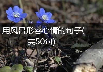 用风景形容心情的句子(共50句)