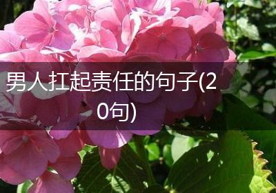 男人扛起责任的句子(20句)