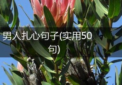男人扎心句子(实用50句)