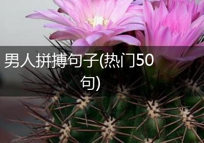 男人拼搏句子(热门50句)